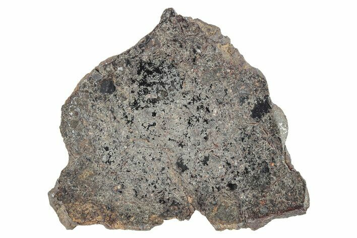 Polished Vaca Muerta Mesosiderite Meteorite ( g) - Chile #280615